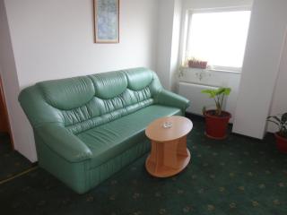 Hotel Atlantis - Tulcea - 4