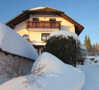 Ferienwohnung Haus Finkbeiner - Kniebis - 8