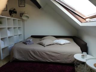 L1 - Green and cosy flat close Paris - WIFI - 6