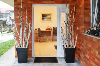 Apartma Vila Zigmund - 1