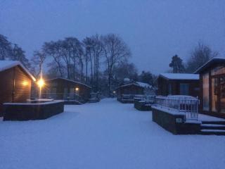 Grandeagles Extra large lodge - Auchterarder - 5