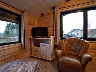 Quiet Chalet with Forest & panoramic views - Tenneville - 3