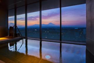 Fujisan Mishima Tokyu Hotel - Mishima - 4