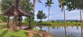 Le Cocotier - Ban Cho Lae - 3