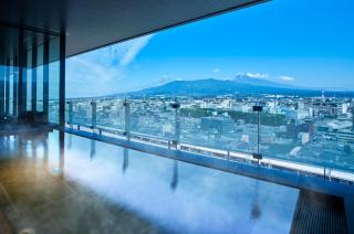 Fujisan Mishima Tokyu Hotel - Mishima - 0