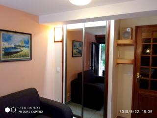 Appartement charmant à Alfortville - 30m² - Terrasse et jardin - Alfortville - 1