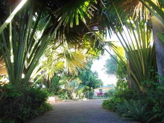 Charming apartment in Grande Gaube with shared pool - 1