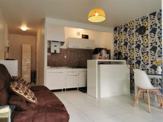 Studio charmant à Saint-Cyprien - 25 m² avec balcon - Saint-Cyprien - 3