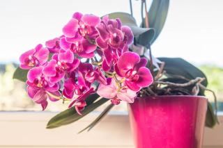 Ferienwohnung Marschall - 2