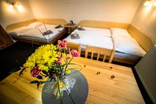 Pension 222 - Family rooms in Vrchlabi - 9