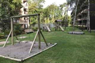 Camino al volcán vista al bosque - 6