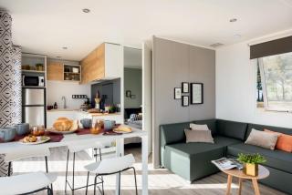 4-persoons Familielodge - Voorthuizen - 3