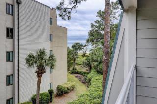 3B Beachwood Forest Beach 2 BR Oceanview - Hilton Head Island - 9