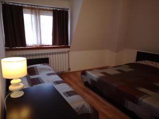 Apartman 104 lux Zoned Kopaonik - Kopaonik - 1