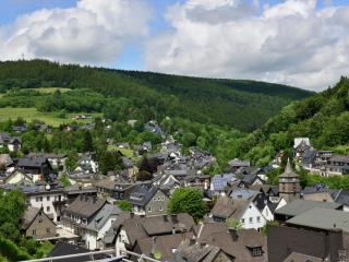Apartment in Willingen with balcony - Willingen - 3
