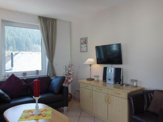 Apartment in Germany near Sauerland - Willingen - 1