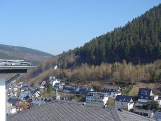 Apartment in Germany near Sauerland - Willingen - 5