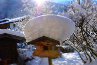 Haus Tirolerland - 4