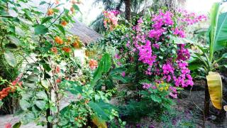 Charming house with private pool in Cap Skirring - Cap Skirring - 4