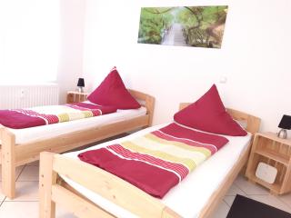 Citywohnung am Rannischen Platz II - Halle an der Saale - 9