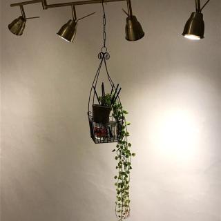 Jinho's Guest House - 1