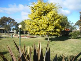 Bairnsdale Main Motel - 3