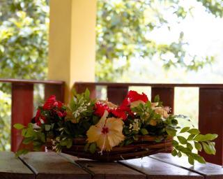 Villa Mangaba Trancoso - 1