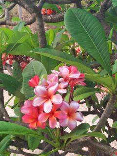 Golden Sands Beach House - 9