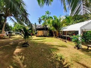 MOOREA - Local Spirit 1 - Hauru - 4