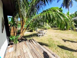 MOOREA - Local Spirit 1 - Hauru - 1