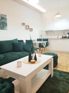 Pinevile apartman 4 - Zlatibor - 7