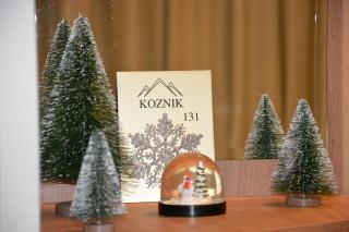 Apartman SREBRNA PAHULjA-Konaci - Kopaonik - 1