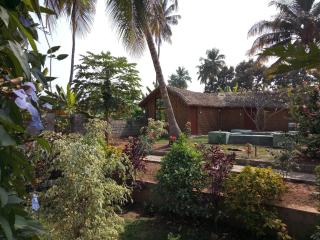 Little Banana Homestay - Hampi - 0