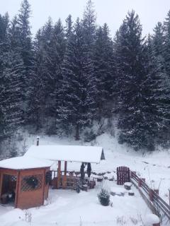 Karpaty Gutsulska Sadyba - Mykulychyn - 2