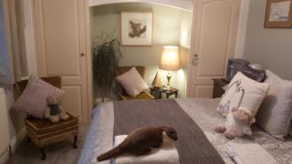 Rural Farmhouse - Poughill - 5