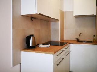 FilinHome Dusana 3-bedroom Suite - Novi Sad - 7
