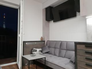 VIP apartment- Розумний дім - Lviv - 5