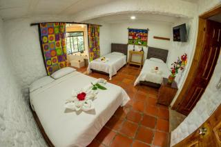 Hotel Alto de los Andaquies - San Agustín - 8