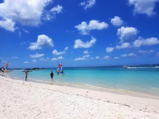 Comfortable House in Trou d'Eau Douce - Trou d'Eau Douce - 1