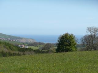 Meadowbeck Holiday Cottages - 6