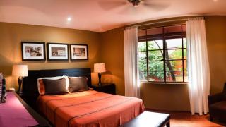 The Red Tree House - Mexiko-Stadt - 4