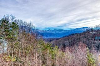 3 Decks, Mtn Views! Tree Tops by HoneyBearCabins - Luxury Rain Showers, 3 King suites, XL HotTub, Fireplace, Bear Sightings - Gatlinburg - 9
