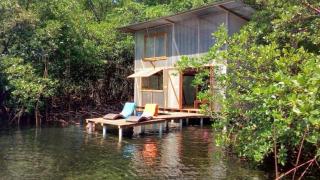 CocoVivo - Bocas del Toro - 5