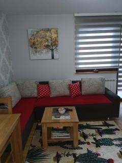 Apartment Gorski javor - Jahorina - 2