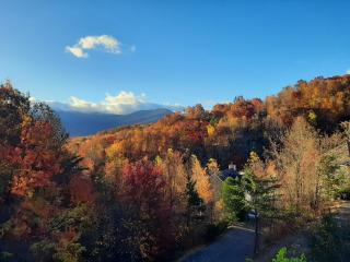 3 Decks, Mtn Views! Tree Tops by HoneyBearCabins - Luxury Rain Showers, 3 King suites, XL HotTub, Fireplace, Bear Sightings - Gatlinburg - 0