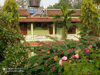 Hotel Rhino Land-Sauraha Family Home - 1