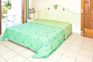 Studio cosy à Sainte-Anne - 24m² avec piscine partagée - Sainte-Anne - 7