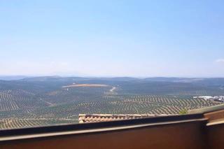Charming House in Arjona - Arjona - 6