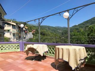 Welcoming family house in Olivetta with large garden - 4