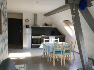 Appartement spacieux avec terrasse et jardin à Lohr, 120 m². - Lohr - 9